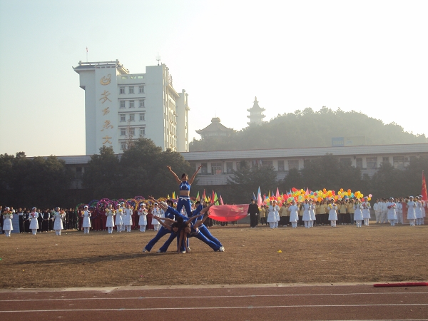 点击在新窗口中打开图片