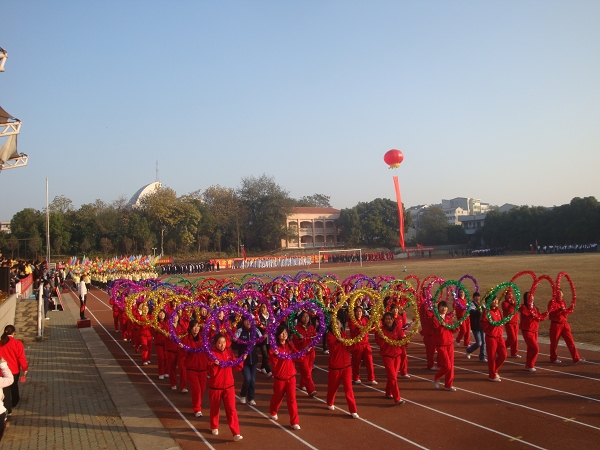 点击在新窗口中打开图片