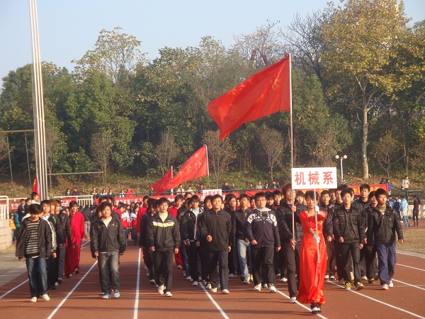 点击在新窗口中打开图片