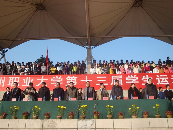 点击在新窗口中打开图片