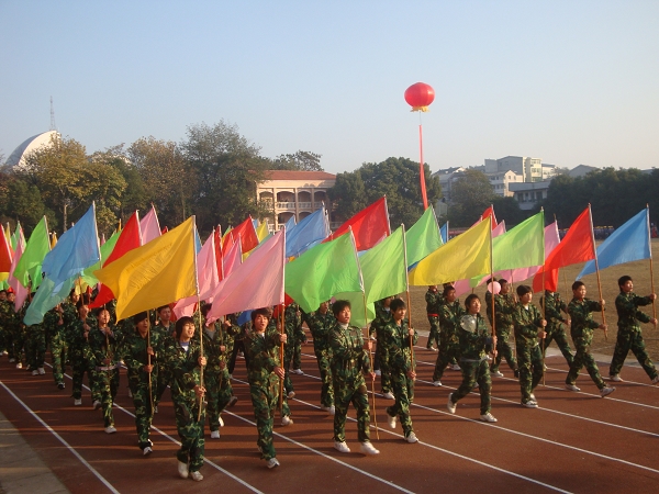 点击在新窗口中打开图片