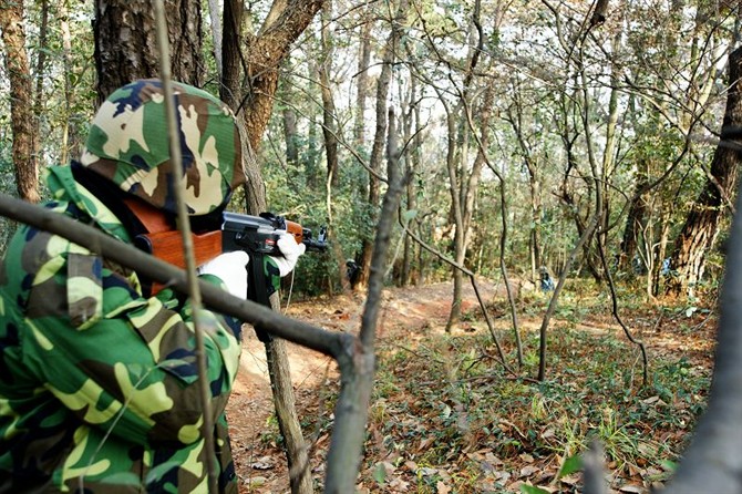 点击在新窗口中打开图片