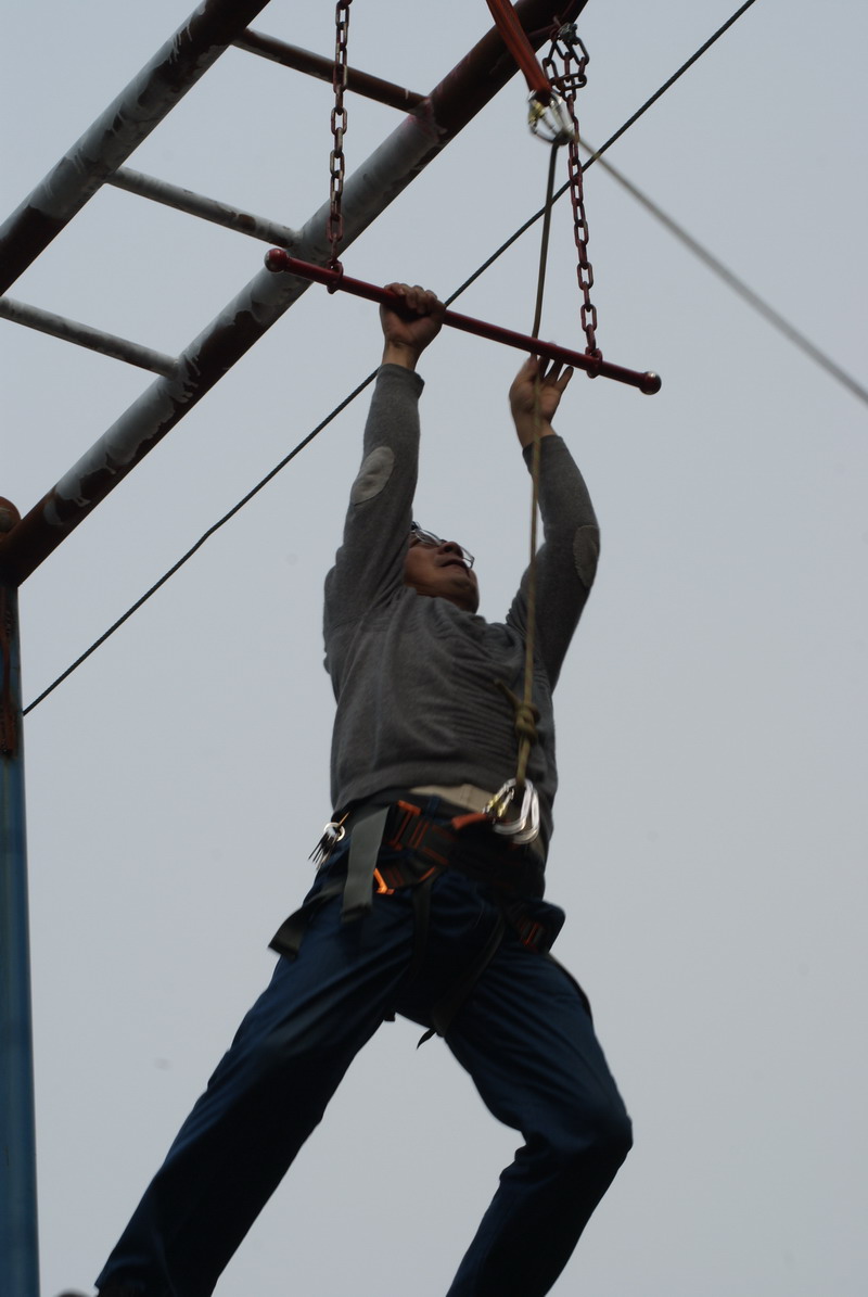 点击在新窗口中打开图片