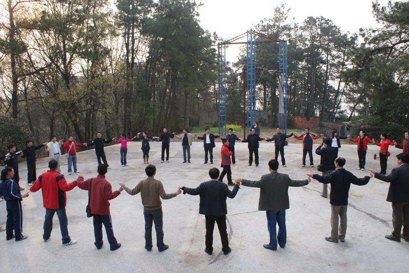 点击在新窗口中打开图片