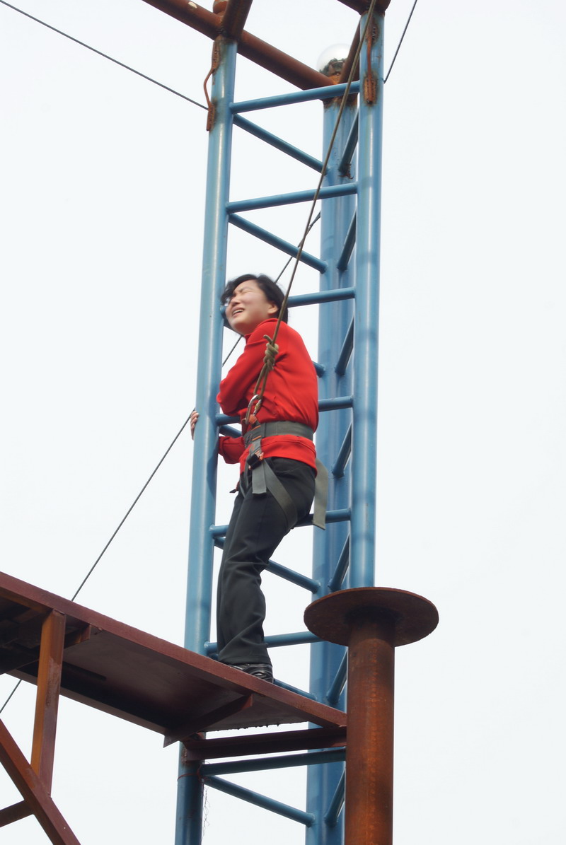 点击在新窗口中打开图片