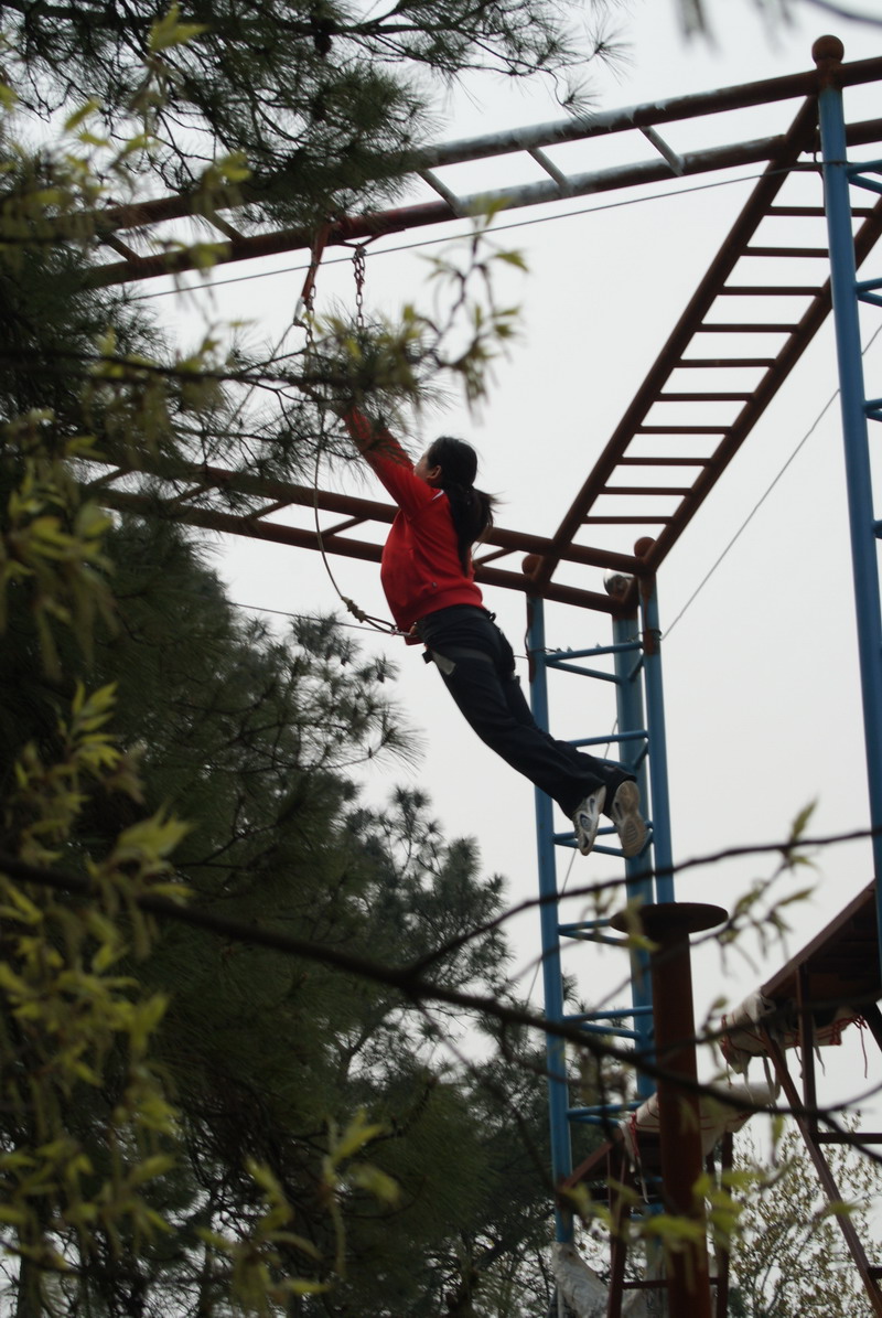 点击在新窗口中打开图片