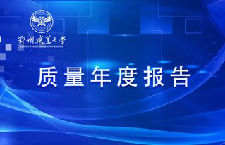 质量年度报告